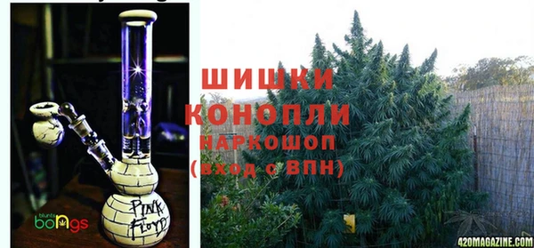 дмт Гусь-Хрустальный