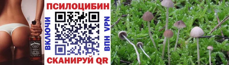 Псилоцибиновые грибы MAGIC MUSHROOMS  Купить где  Гороховец 